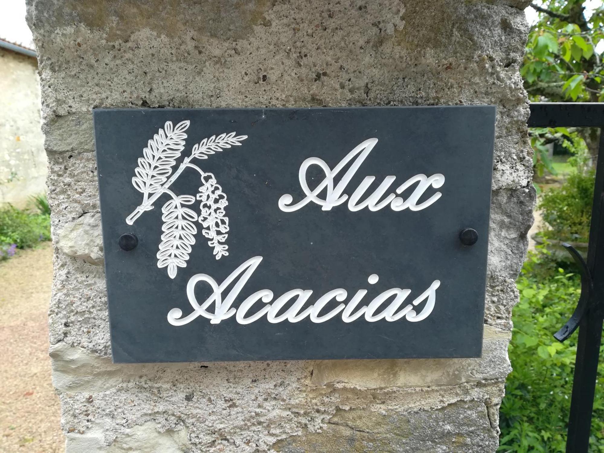 Aux Acacias Villa Braye-sous-Faye Exterior photo